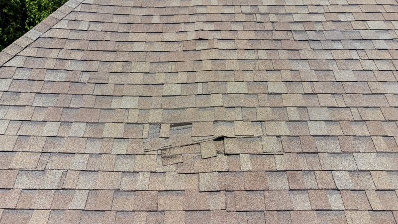Asphalt Roof Inspection in Nokesville, VA