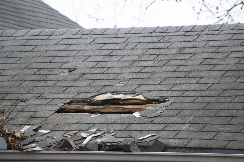 Asphalt Roof Leak Repair in Amissville, VA