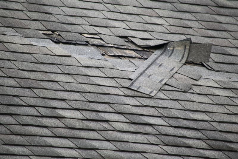 Asphalt Roof Leak Repair in Triangle, VA