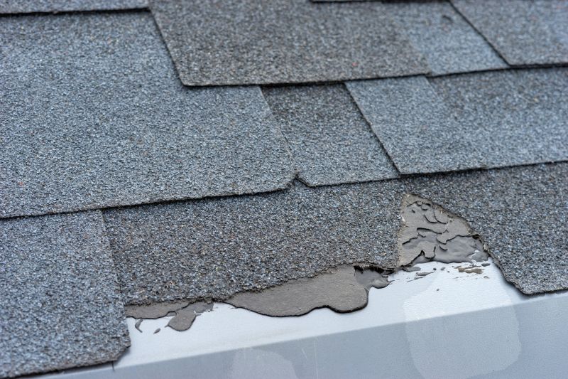 Damaged Roof Repair in Clifton, VA
