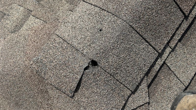Damaged Roof Repair in Fauquier County, VA