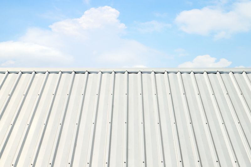 Metal Roof Coating Service in Fauquier County, VA