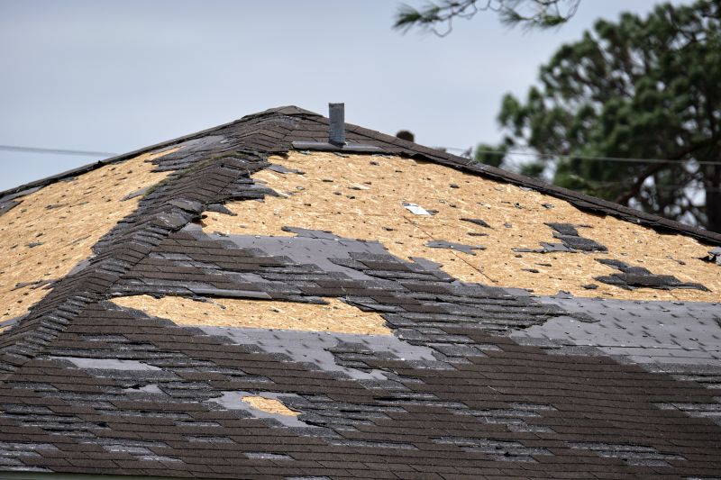 Roof Damage Repair in Bealeton, VA
