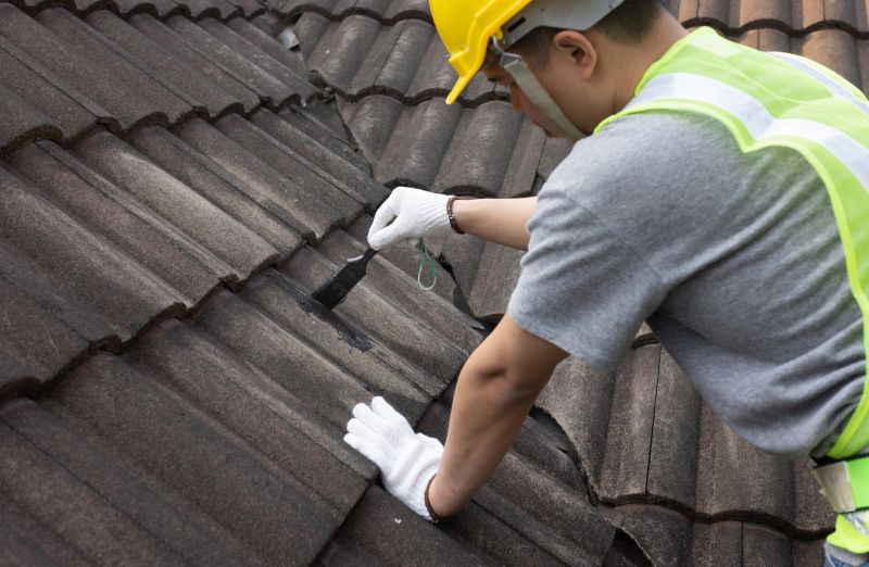 Roof Patching Service in Fauquier County, VA
