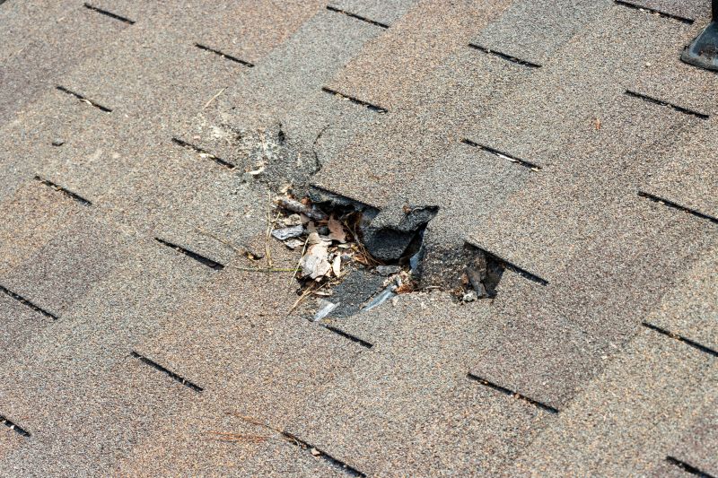 Shingle Roof Replacement in Warrenton, VA