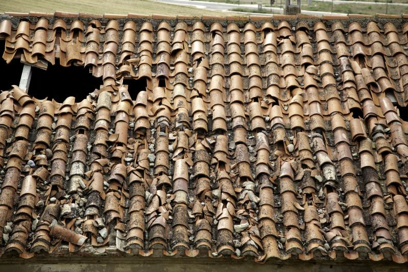 Tile Roof Inspection in Fauquier County, VA