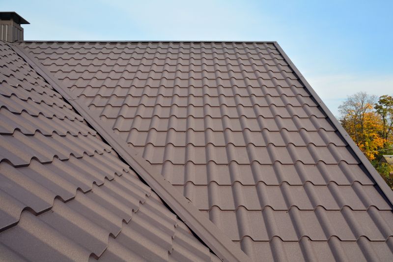 Tin Roof Installation in Oakton, VA