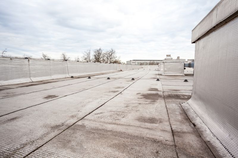 Tpo Roof Repair in Bealeton, VA