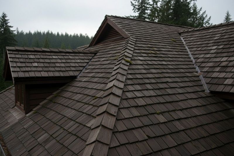 Wood Shake Roof Replacement in Catlett, VA